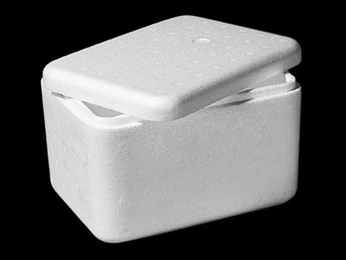 cooler box 1